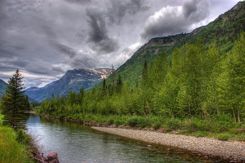 Glacier Park, trees, river, mountains, green HD wallpaper