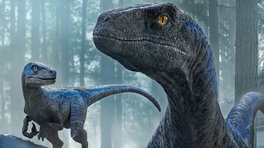 Velociraptor Jurassic World Dominio fondo de pantalla