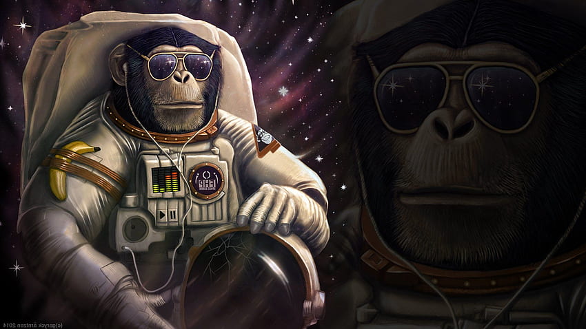 Monkey Astronaut [] สำหรับมือถือและแท็บเล็ตของคุณ สำรวจนักบินอวกาศสุดเท่ NASA , iPhone ของ NASA , นักบินอวกาศในอวกาศ วอลล์เปเปอร์ HD