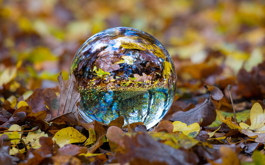 Ball, Glass, Sphere, Fall, Foliage - Glass Balls HD wallpaper
