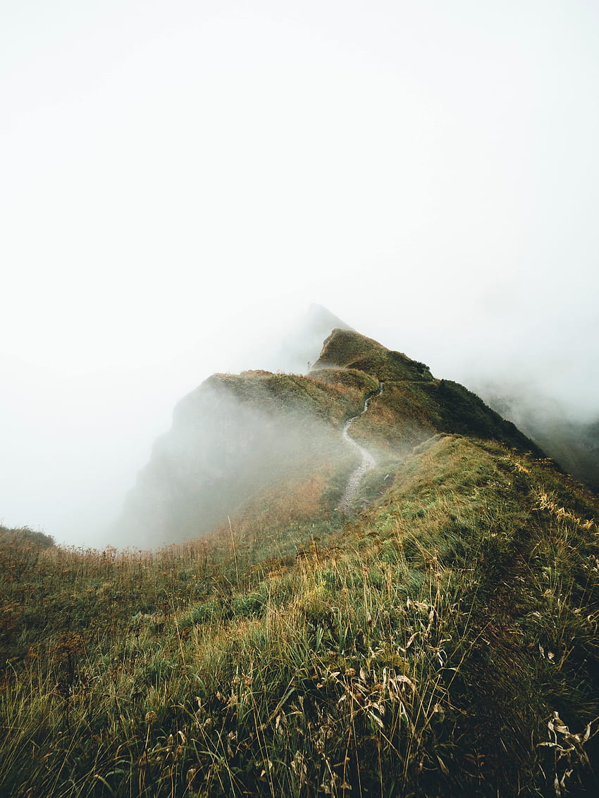 Alto paisaje, altitud, niebla, naturaleza. fondo de pantalla del teléfono