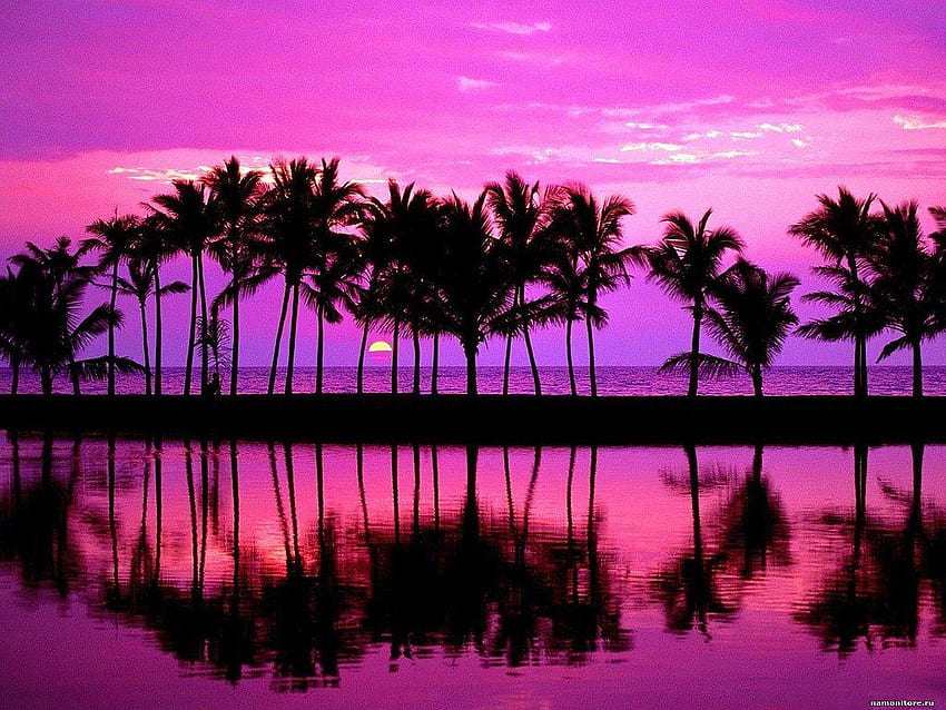 390 Purple Sunset Beach Stock Photos Pictures  RoyaltyFree Images   iStock