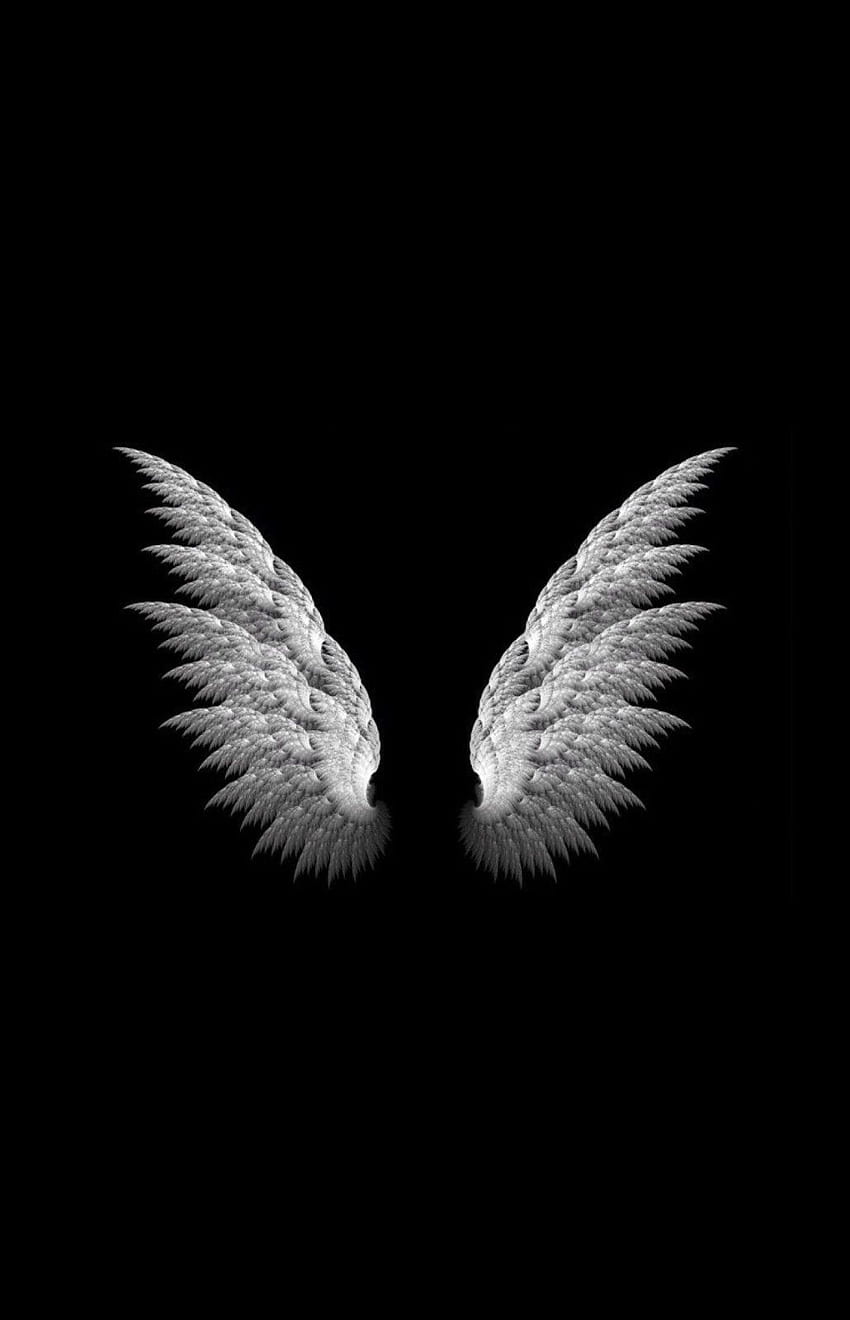Framed Print - White Angel Wings On A Black Background HD phone wallpaper |  Pxfuel
