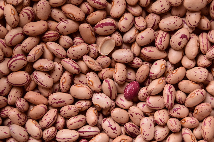 Food, Seed, Seeds, Beans, Bean HD wallpaper