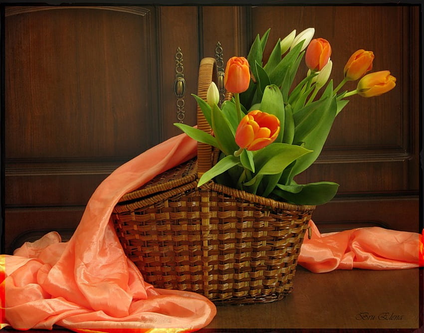 bodegón, ramo, tulipán, grafía, tulipanes, bonito, cesta, delicado, flor, con gracia, hermoso, naranja, suavemente, bonito, fresco, flores, bufanda, encantador, armonía fondo de pantalla