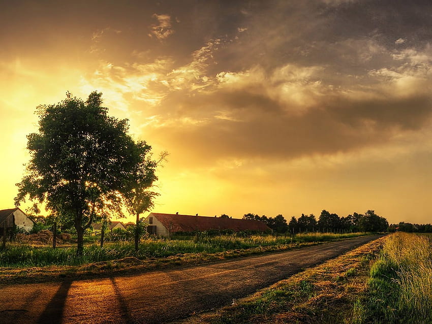 Country Scene Wallpaper  Download to your mobile from PHONEKY