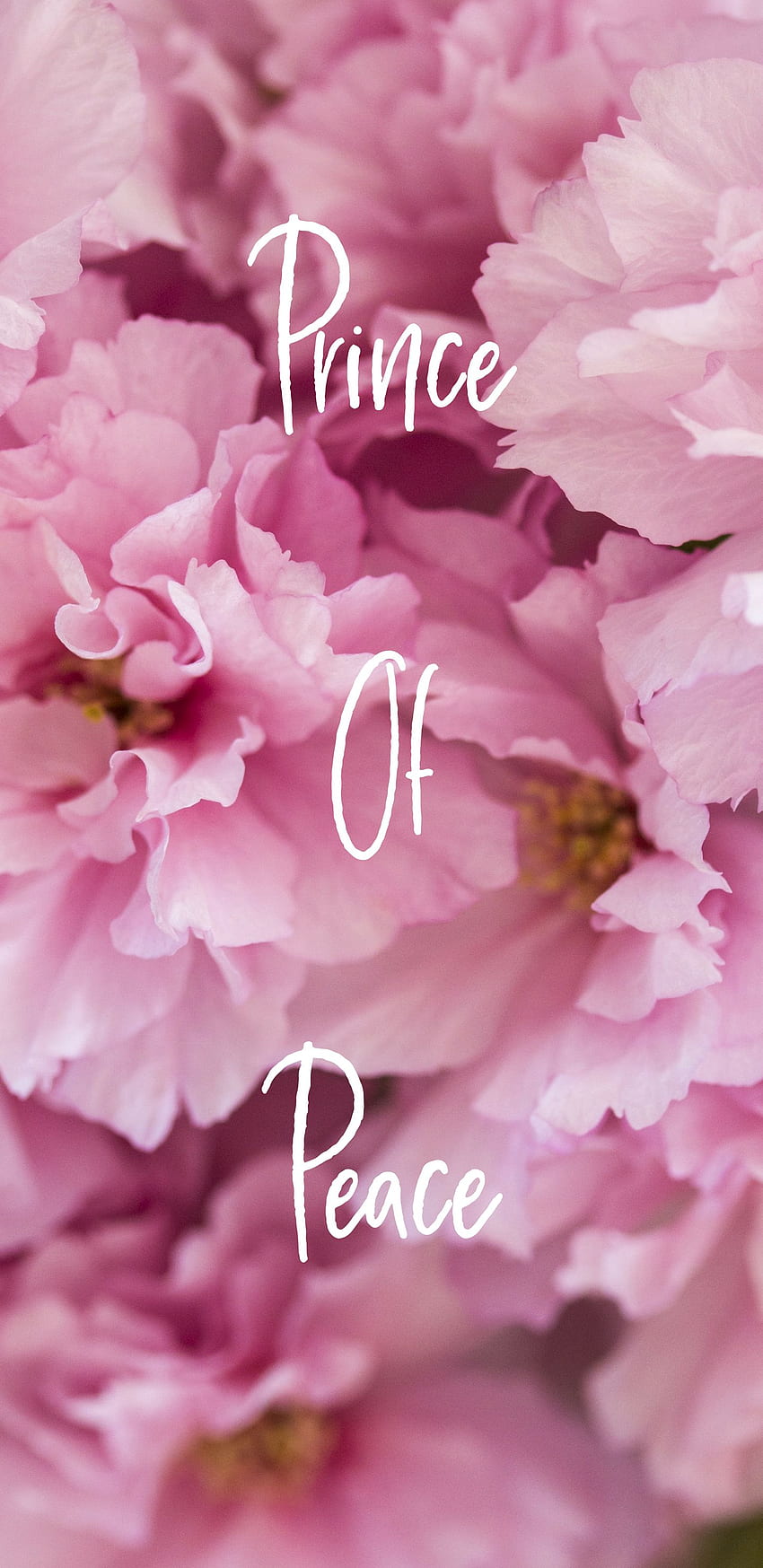 Prince Of Peace Pink Floral Flowers Christian Mobile - Christian Phone Flowers - - HD phone wallpaper