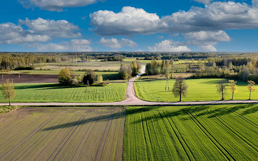 Lapangan Musim Semi di Latvia, udara, awan, ladang, Latvia, pohon, jalan, musim semi Wallpaper HD