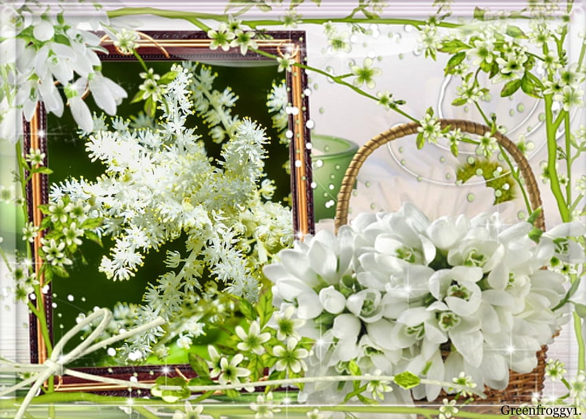 PURITY AND BEAUTY, FLOWERS, BLOSSOMS, WHITE, FRAMED HD wallpaper
