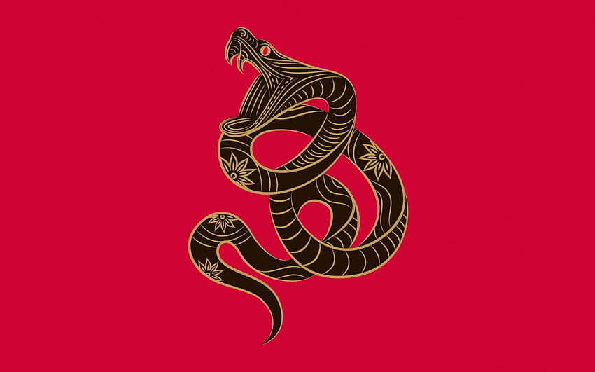 Zodíaco chino ~ Serpiente, serpiente, zune, zodiaco, fantasía, chino fondo de pantalla