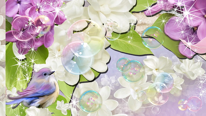 Flower: Bubbles Bird Blooms Flowers Fresh Lavender Abstract Summer, Abstract Spring HD wallpaper