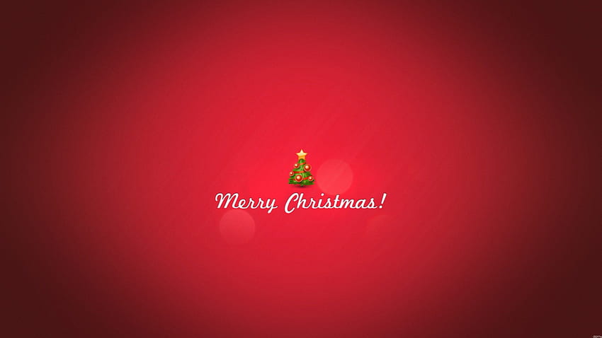 Merry Christmas, happy holidays, christmas, christmas tree HD wallpaper