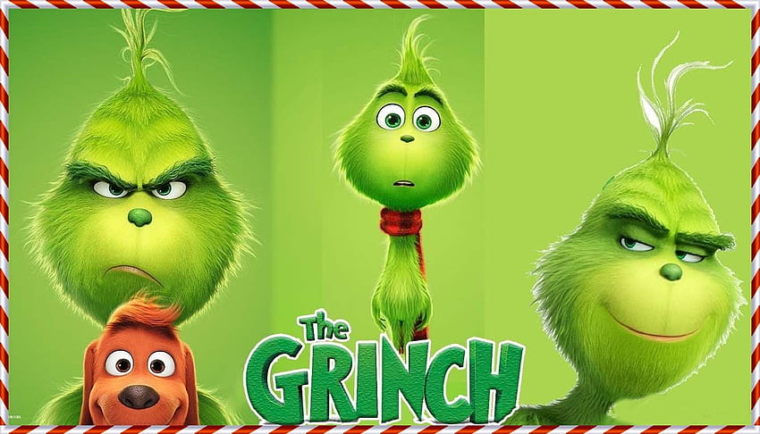 Ganhe uma cesta supersacional do filme Grinch! – O Estúdio de Escrita, Engraçado Grinch papel de parede HD