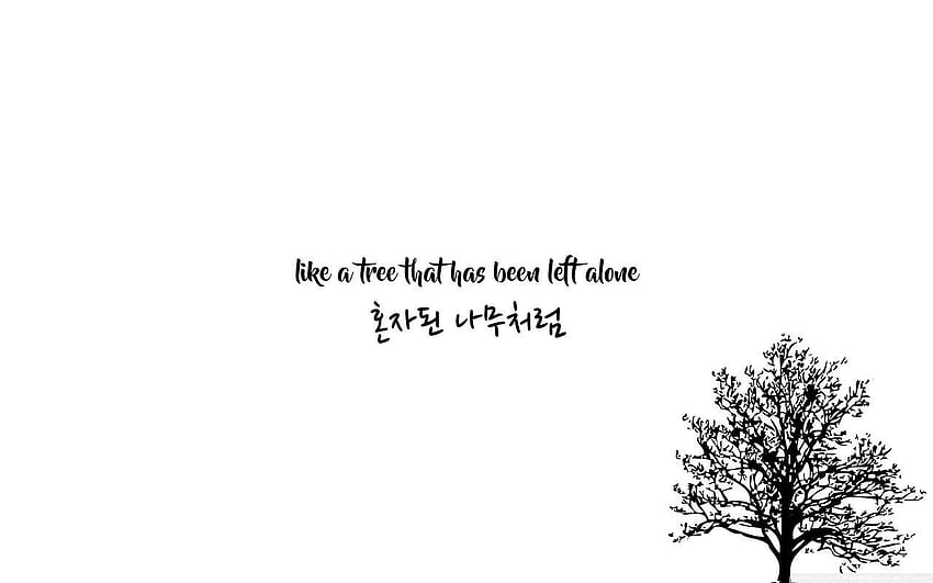 Kpop Lyrics , Lyric Laptop HD wallpaper | Pxfuel