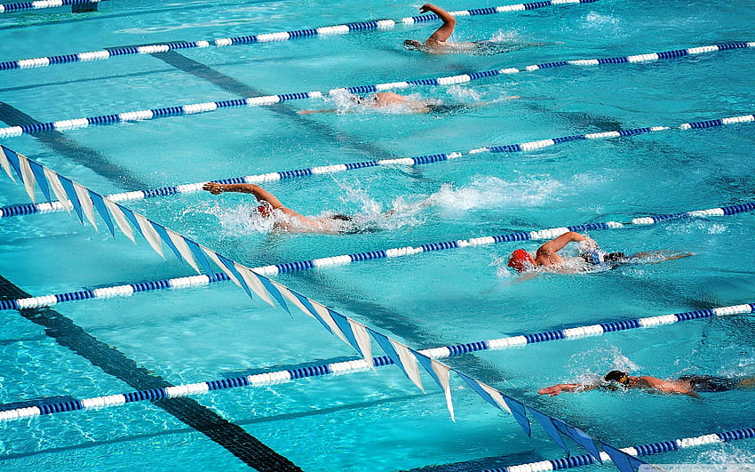 nadadores papel de parede HD