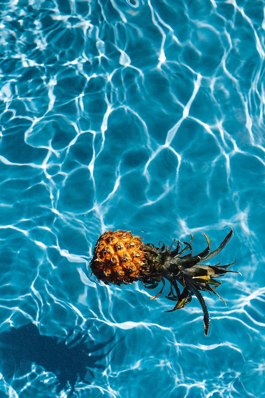 Water, Food, Tropics, Pool, Pineapple HD phone wallpaper
