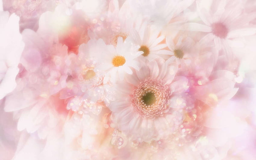 graphy Cute Flower, Wedding Album HD wallpaper