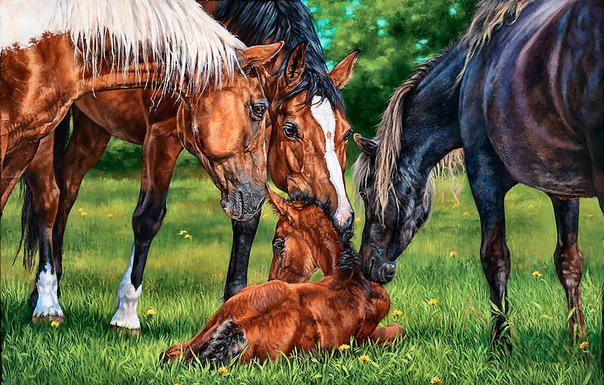 A Welcome New Arrival - Horses, animal, horse, art, beautiful, illustration, artwork, wide screen, painting, equine HD wallpaper