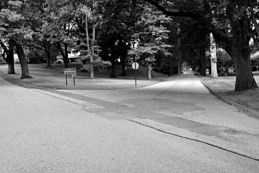 Fork In The Road, schöne Straße, malerische Straße, schöne Nachbarschaft, Straße HD-Hintergrundbild