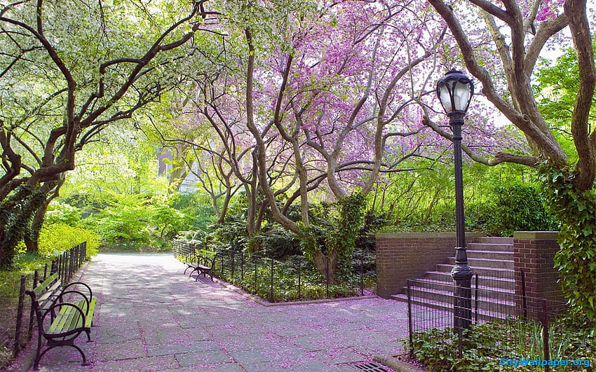 Central Park, primavera de Nova York papel de parede HD