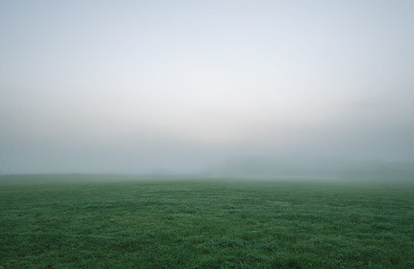 Nature, Grass, Fog, Field, Thick, Impenetrable HD wallpaper