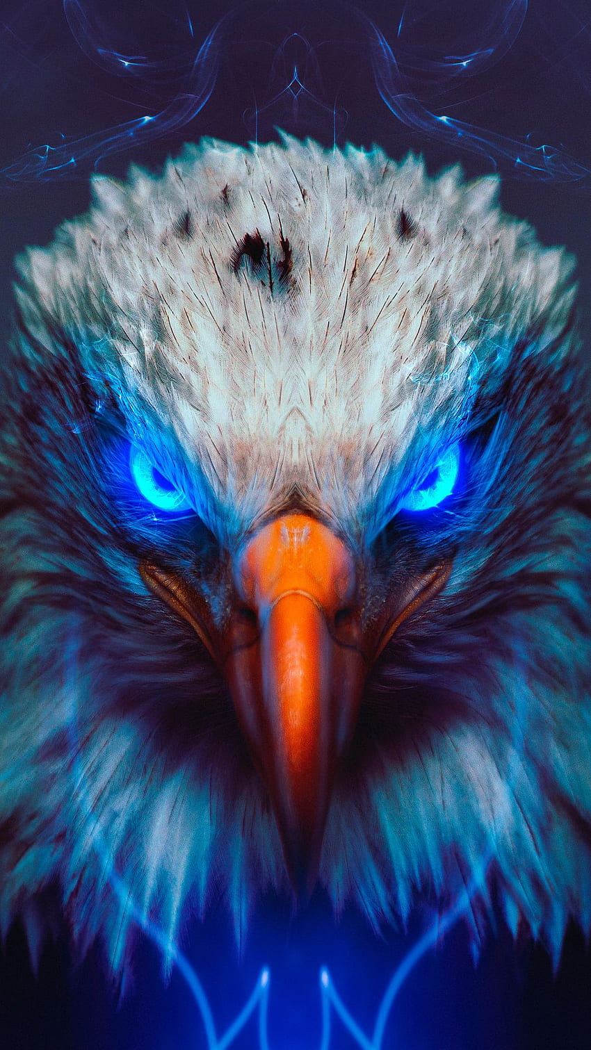 Eagle Blue Eye HD phone wallpaper