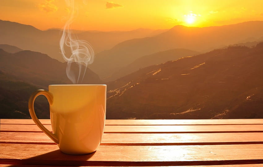 слънцето, зората, кафе, сутрин, чаша, горещо, чаша за кафе HD тапет
