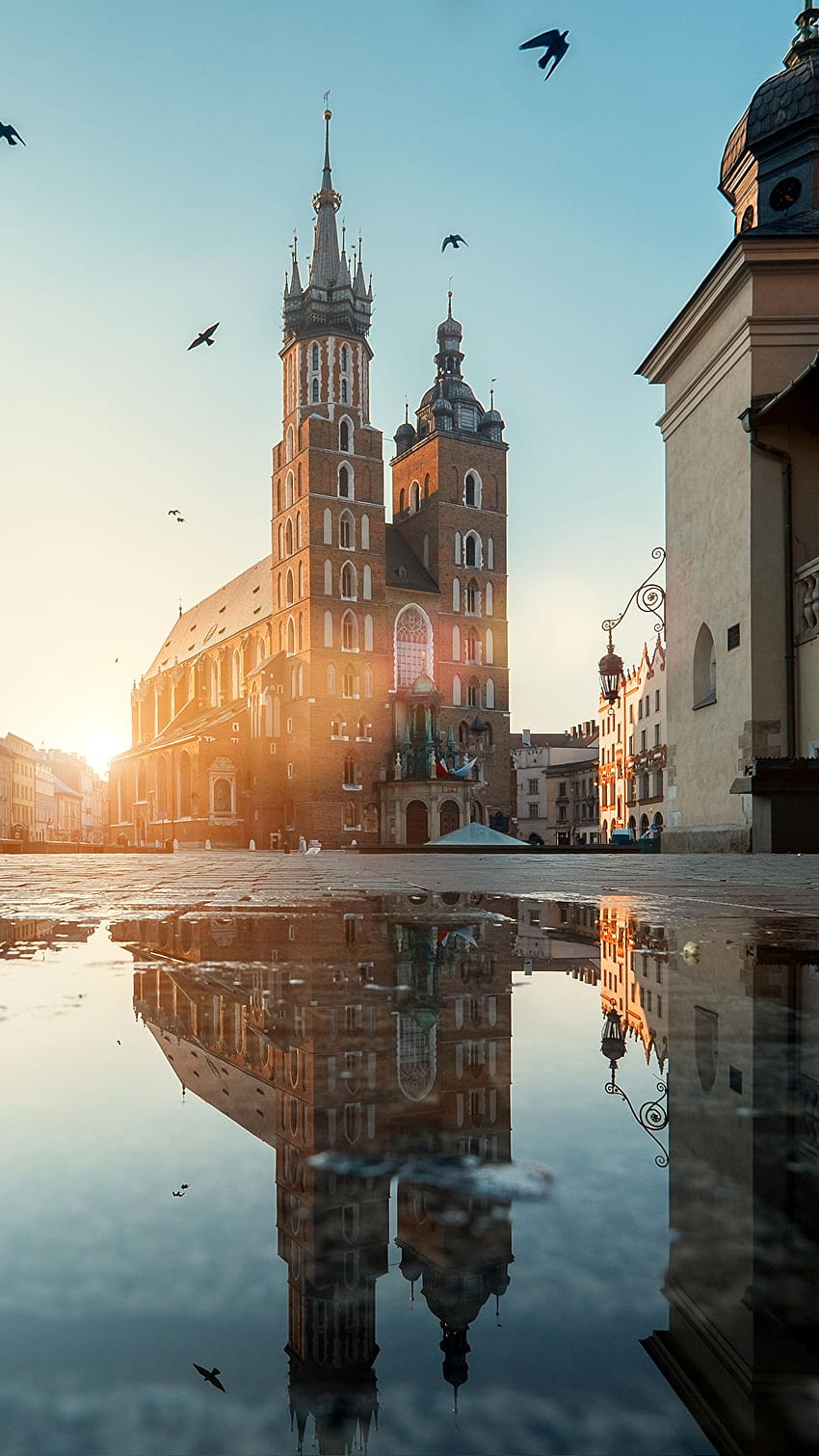 クラクフ ポーランド 町の広場 水たまりに反映された水、ポーランド iPhone HD電話の壁紙