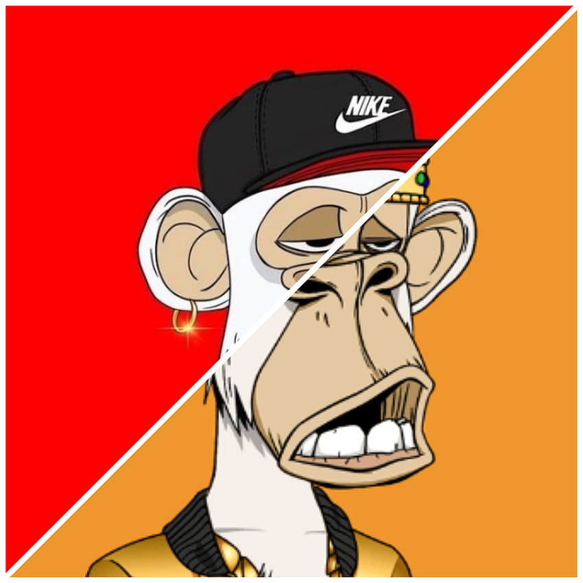 Monos, nose, jaw HD phone wallpaper | Pxfuel