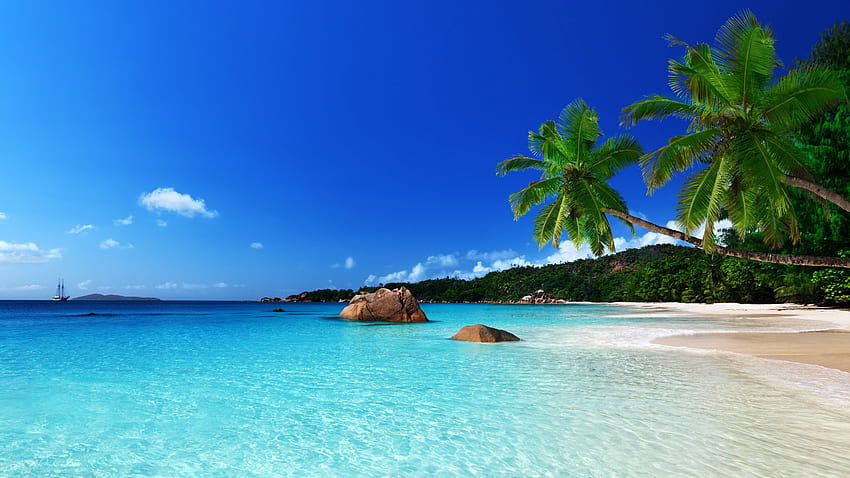 Plaże: Ocean Coast Sea Beach Paradise Summer Palm Tropical, Tropical Beach Landscape Tapeta HD