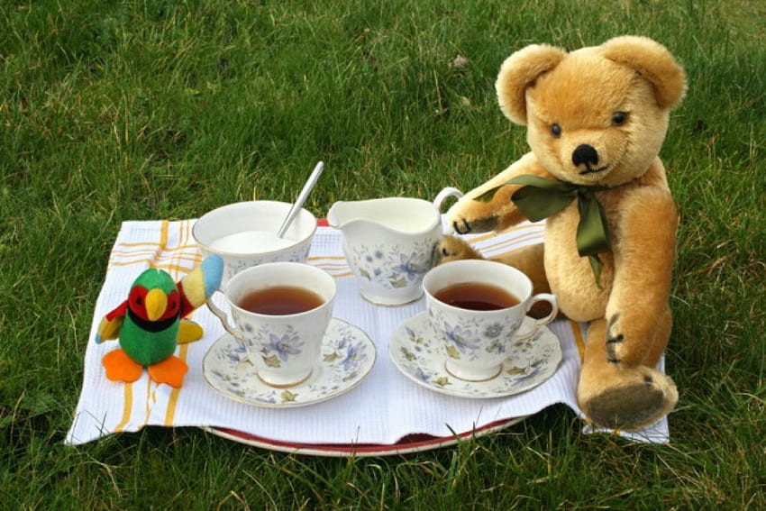 TEA WITH TEDDY, bears, toys, tea, teatime, grass, cups, picnics, tea tray, teddies HD wallpaper