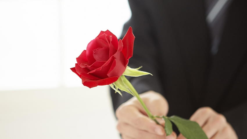 For You!, white, black, man, hand, valentine, rose, costume, flower, red HD wallpaper