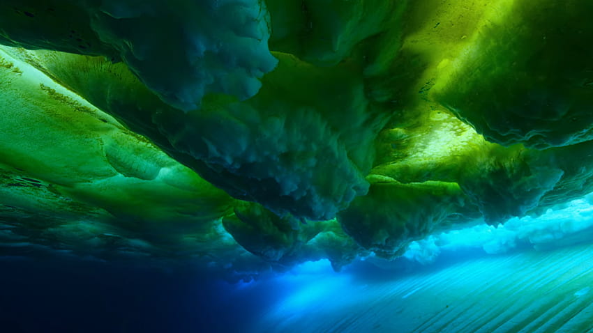 The flipped world under the ice [Our planet] [] : HD wallpaper