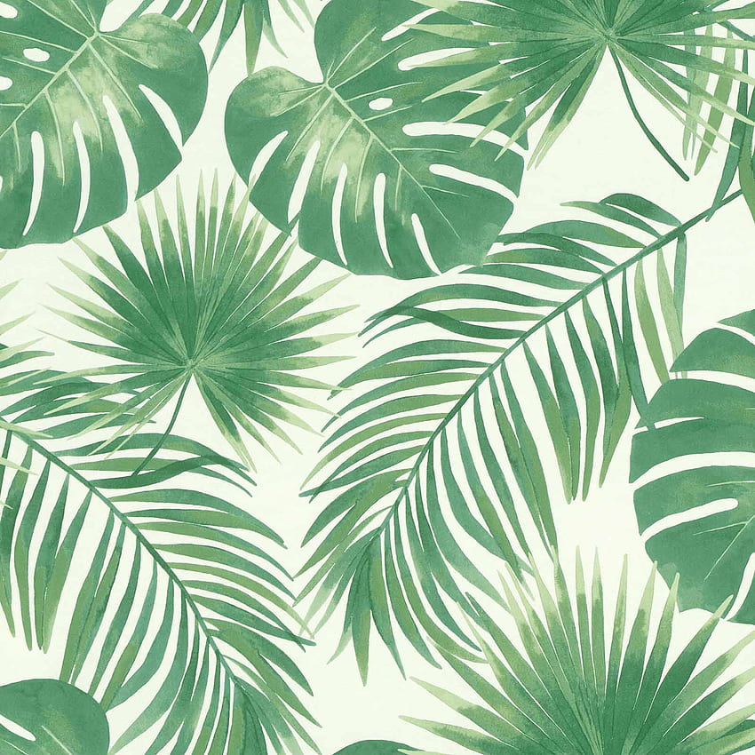Light Green Leaves Background, Pink and Green Leaf HD phone wallpaper |  Pxfuel