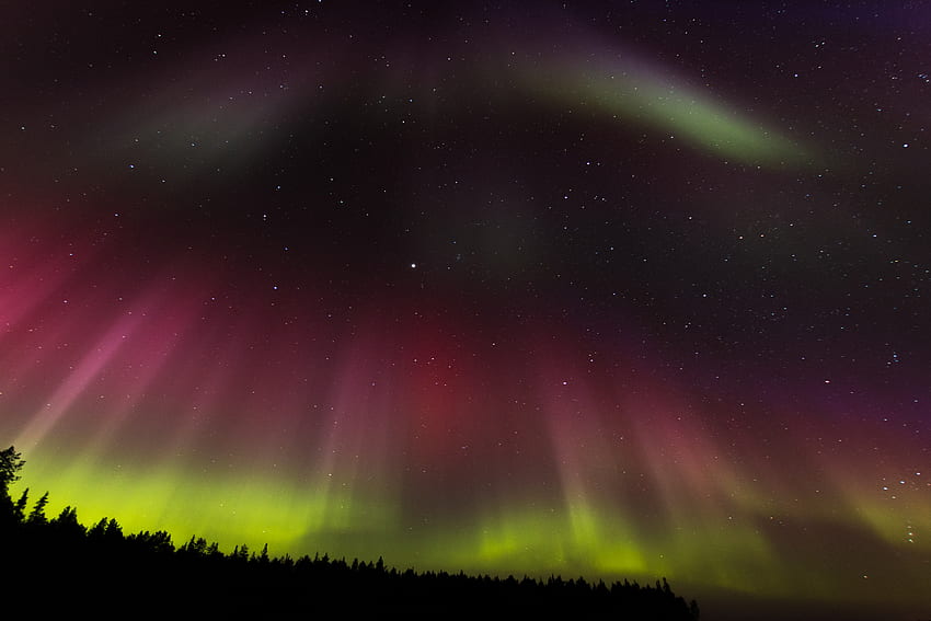 Natur, Bäume, Sternenhimmel, Nordlichter, Aurora Borealis, Aurora HD-Hintergrundbild