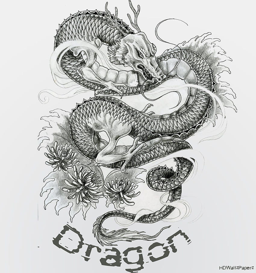 Art Design Dragon Tattoo Bac, Yakuza Dragon HD telefon duvar kağıdı