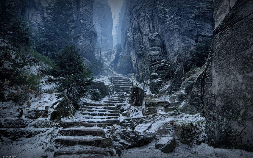 Mountain Stairways Repubblica Ceca, inverno, ceco, scalinata, freddo, rocce, albero, montagna, repubblica, roccia, nebbia, neve, alberi, montagne, passaggio Sfondo HD