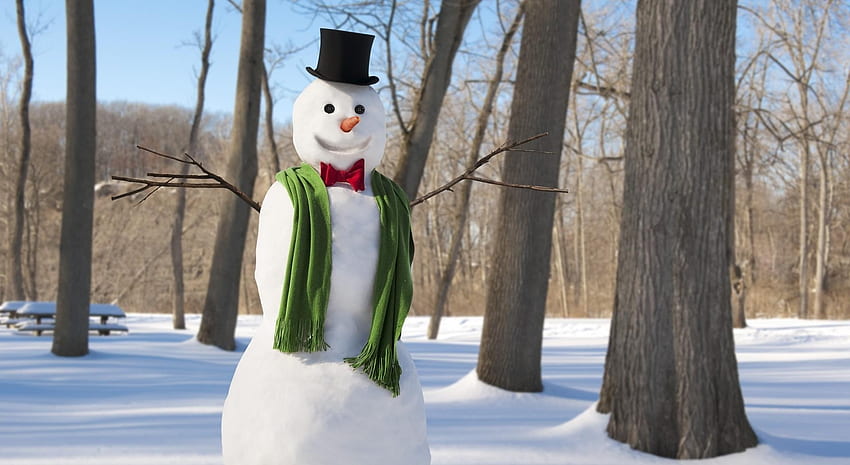 휴일, 겨울, 나무, 새해, 눈, 눈사람, 크리스마스, 스카프 HD 월페이퍼