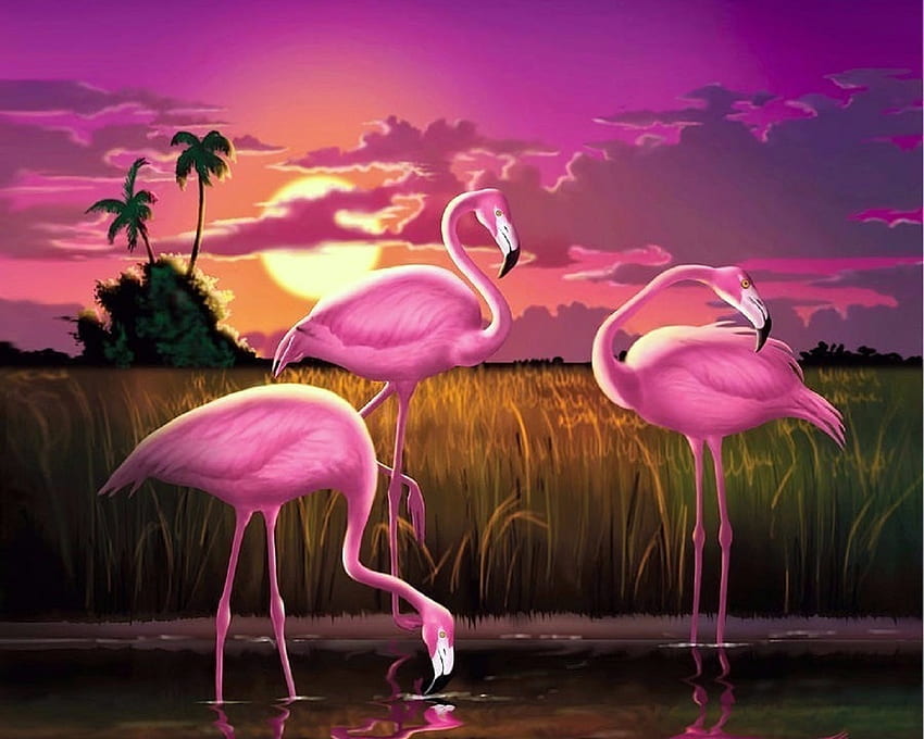 Pink Flamingos at Sunset, flamingos, tropical, pôr do sol, atrações em sonhos, paraíso, pinturas, verão, amor quatro estações, rosa, animais, natureza papel de parede HD