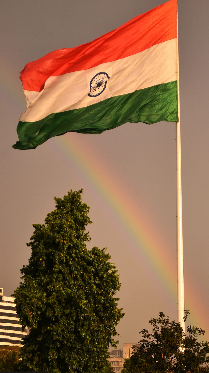 Indyjska flaga Tiranga, indiantiranga, indyjska flaga Tapeta na telefon HD