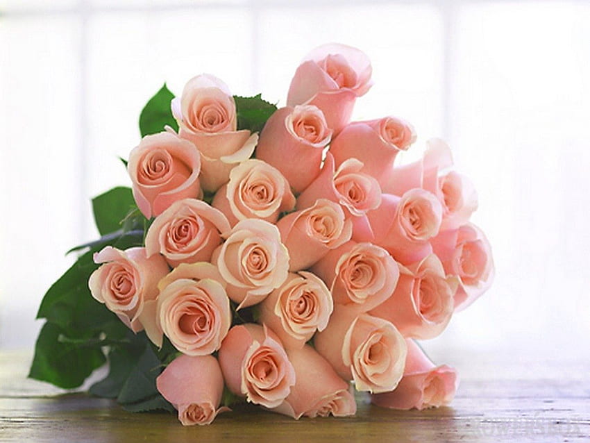 Първи пролетен букет, розово, букет, листа, рози, цветя HD тапет