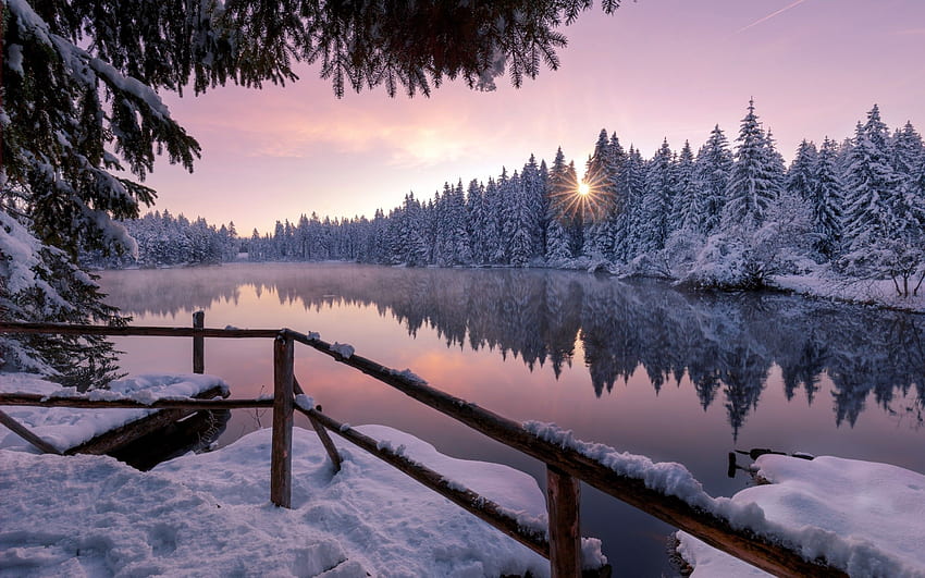 Pohon Salju Musim Dingin Alam Di Luar Ruangan Macbook Pro Retina Wallpaper HD