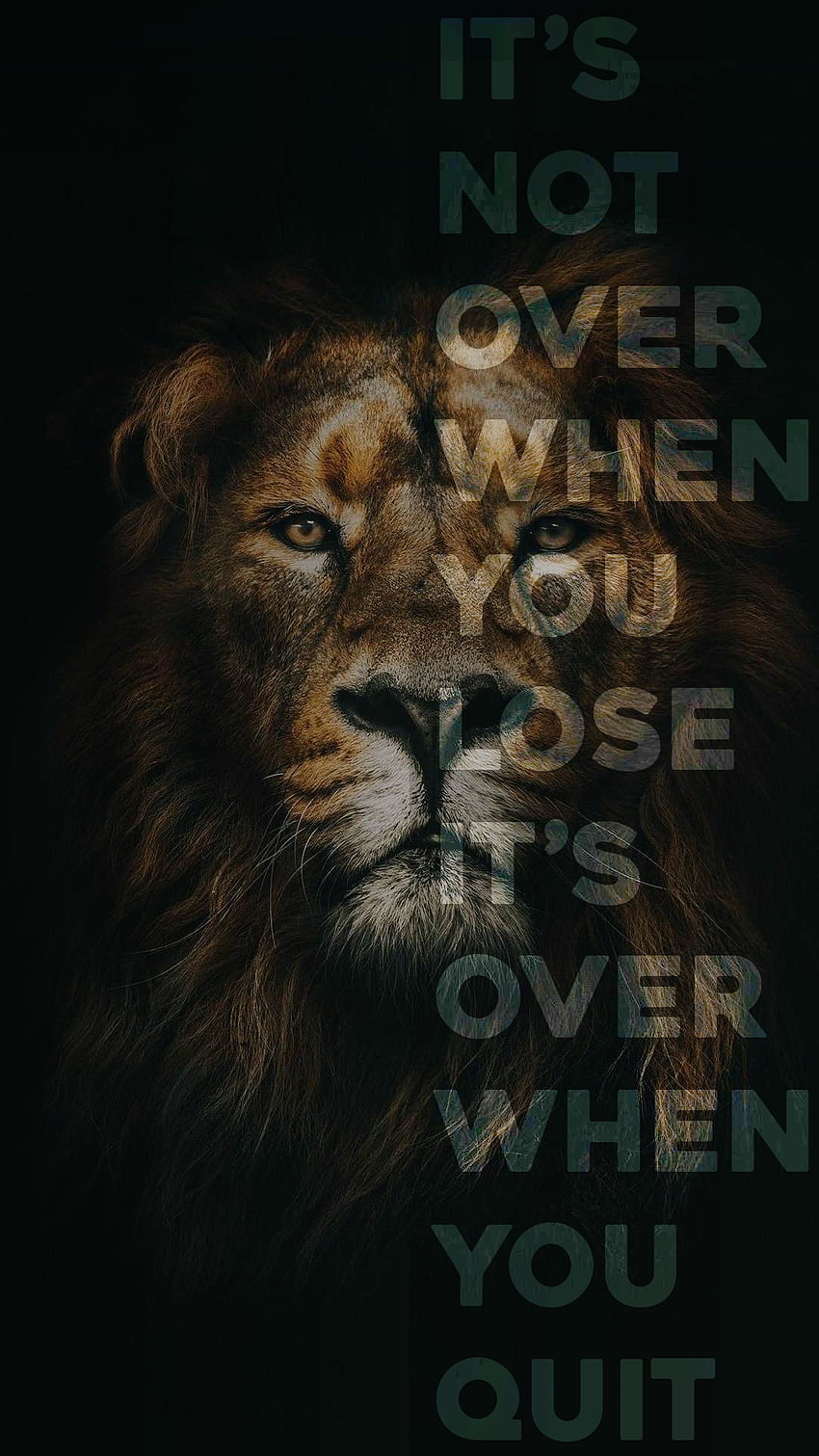 Motivational Lion, quote, nature, workout, Animal, motivation, saying, tiger HD phone wallpaper