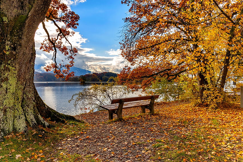 Autumn in Germany, bench, tranquility, river, coast, fall, beautiful, lake, serenity, shore, leaves, view, autumn, Germany, foliage HD wallpaper
