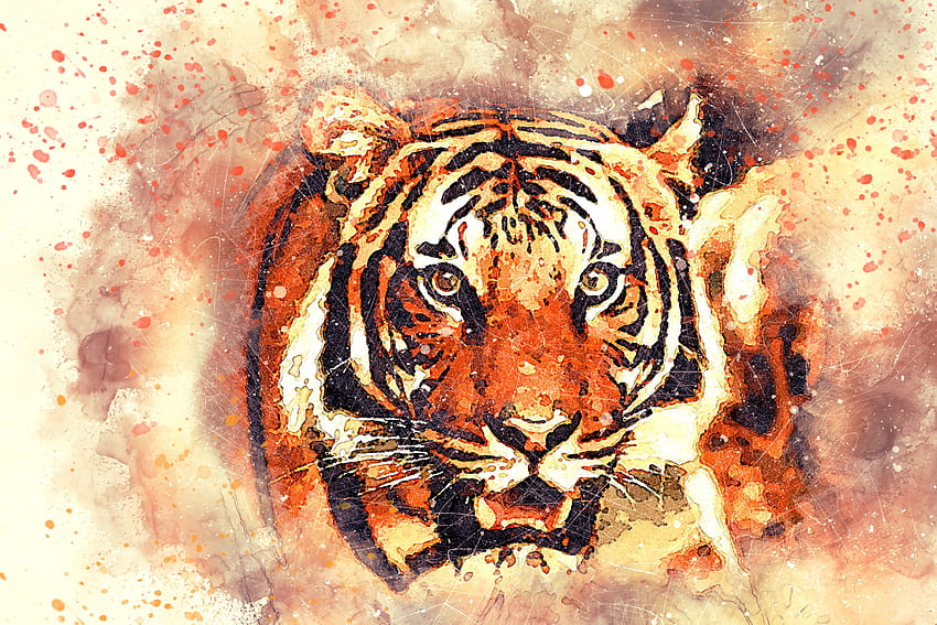 Animals, Art, Grin, Muzzle, Tiger HD wallpaper