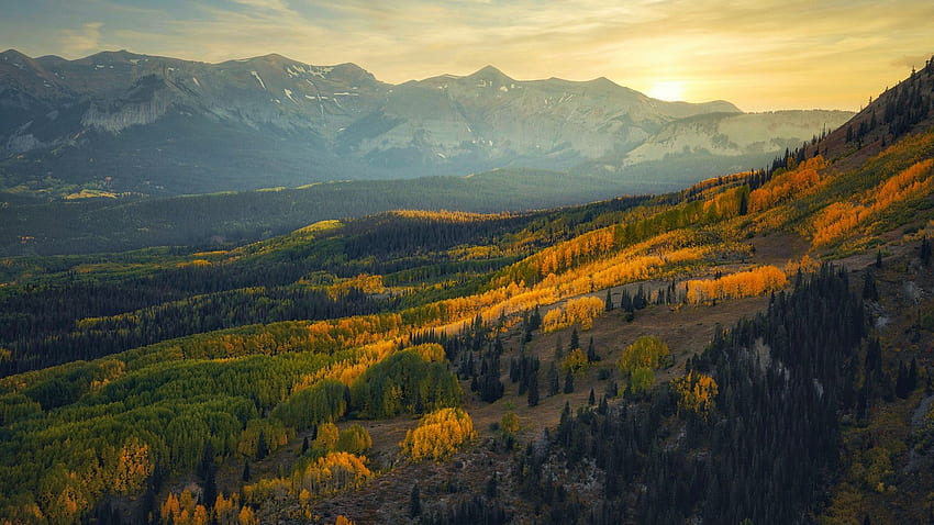 I colori dell'autunno sul display in Crested Butte, Colorado, aspens, paesaggio, alberi, autunno, larici, foresta, Stati Uniti d'America Sfondo HD