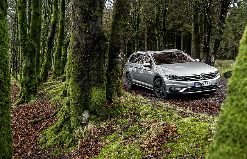 Volkswagen, Autos, Wald, Seitenansicht, Moos, Passat HD-Hintergrundbild