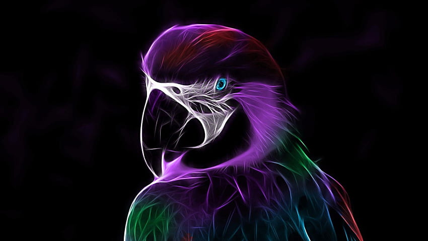 추상 초고해상도, Parrot Linux HD 월페이퍼