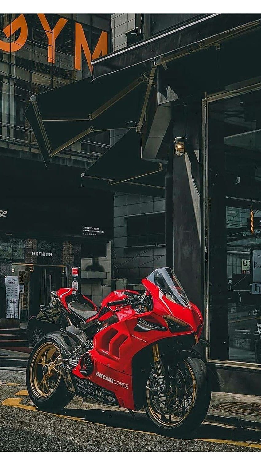Ninja Bike, Kawasaki, Dukati, Sportbike, Rennrad HD-Handy-Hintergrundbild