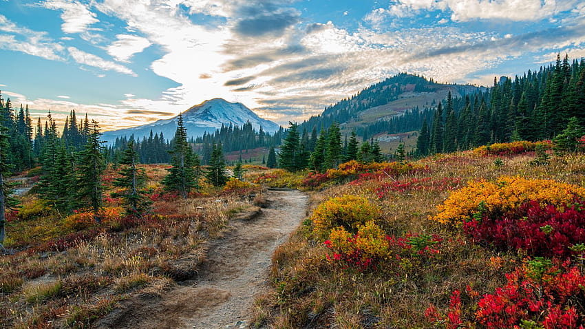 Mt. Rainier Ulusal Parkı'nda sonbahar gün batımı, Washington, sonbahar, bulutlar, manzara, renkler, ağaçlar, gökyüzü, ABD HD duvar kağıdı